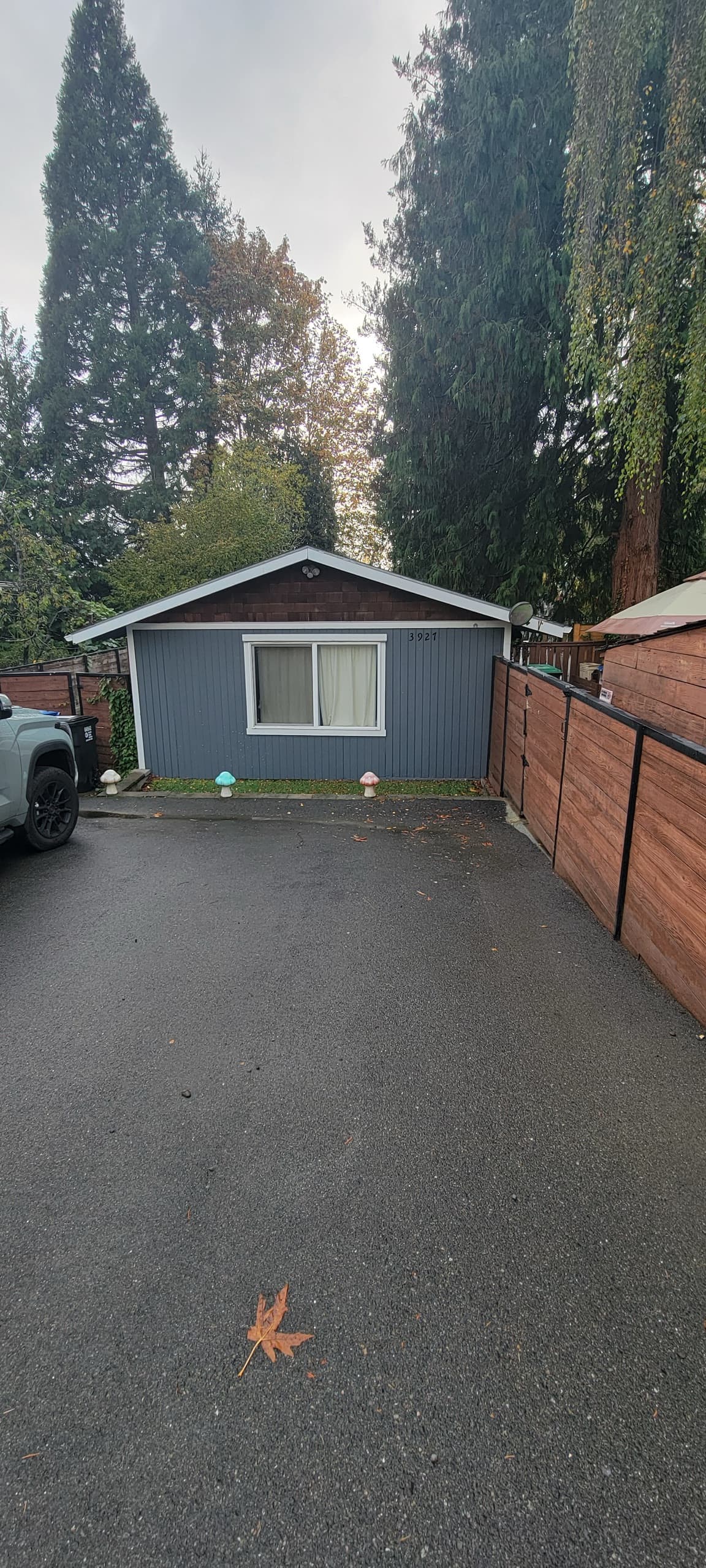 Existing Seattle-area back yard before construction of a DIGS Construction detached accessory dwelling unit