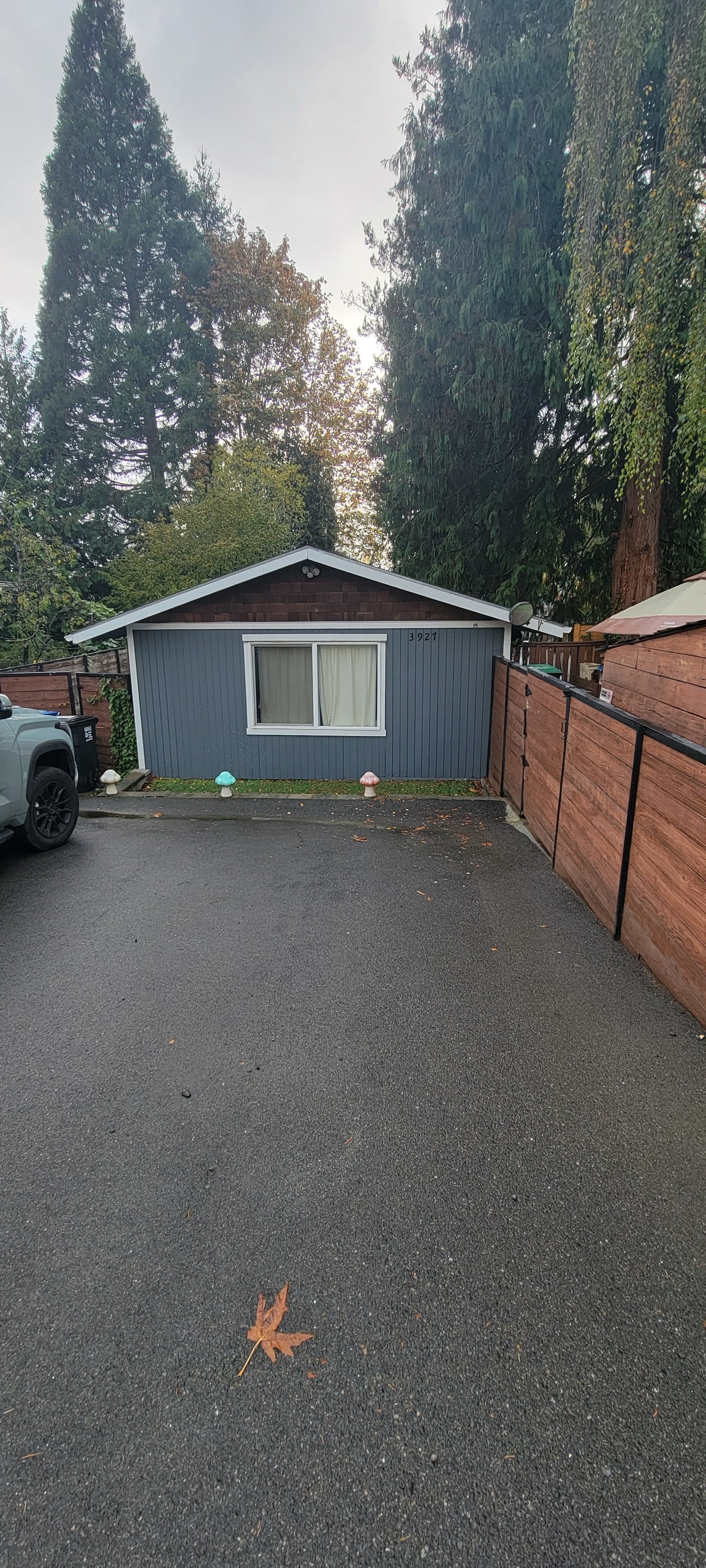 Existing Seattle-area back yard before construction of a DIGS Construction detached accessory dwelling unit
